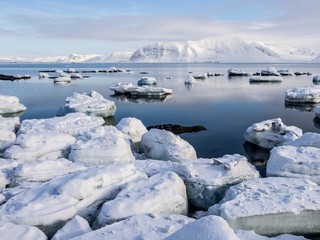 Arctic landscape - glaciers, sea, mountains