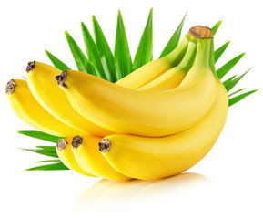 Obrazy na Plexi  banany z liśćmi na białym tle