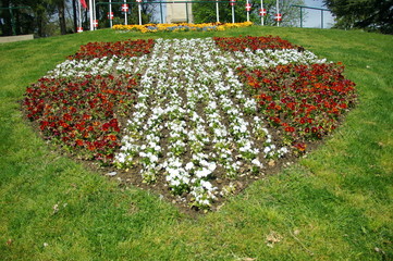 croix de savoie en fleurs