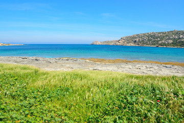 green vegetation by the sea in Gallura