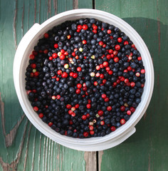 Cranberries and blueberries