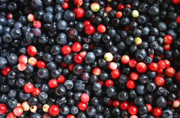 Cranberries and blueberries