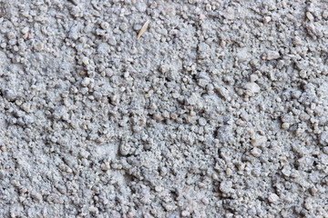 macro photo of the texture of cement plaster