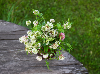 Wooden angel fogure on the tree stump