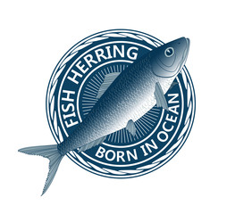 blue fish herring