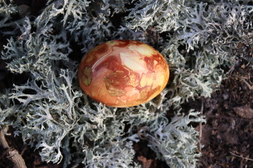 Colored Easter egg