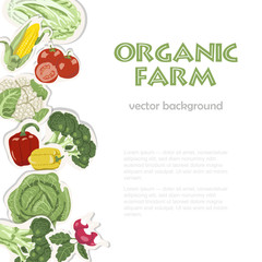 Vector background with  organic healthy vegetables