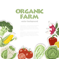 Vector background with organic vegetables.