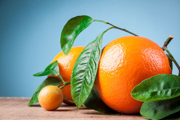 Oranges with shoots on a wooden table