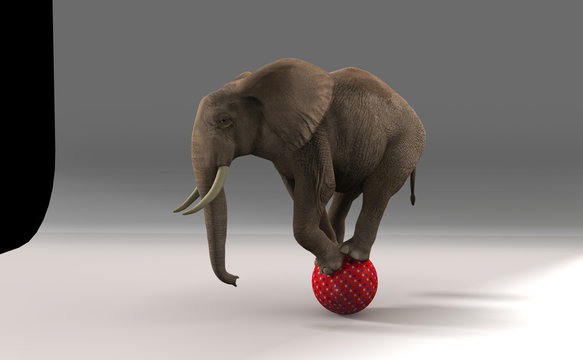 Elephant on sphere.