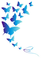 butterflies design