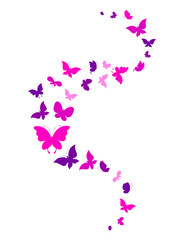 butterflies design