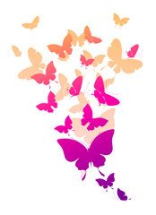 butterflies design