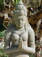 Tara Devi