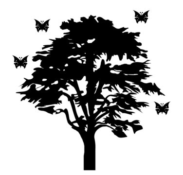 Papillon autour d'un arbre