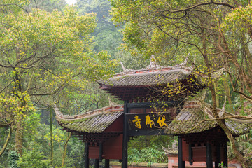 temple in the forest