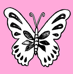 Hand drawn butterfly