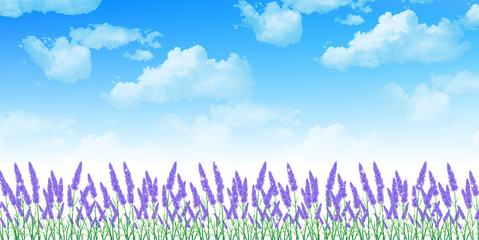 ラベンダー　ハーブ　背景