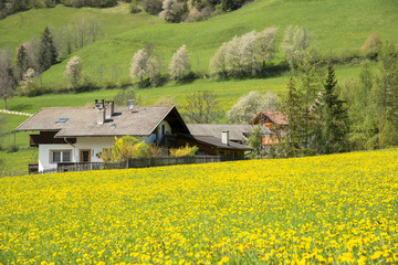 ドロミティ地方の田園風景