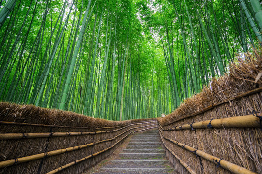 化野念仏寺」の写真素材 | 267件の無料イラスト画像 | Adobe Stock
