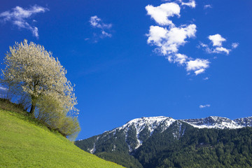 ドロミティ地方の田園風景と山並み