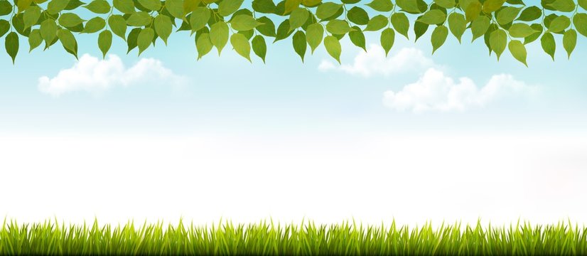 Long white fence banner with grass and leaves. Vector.