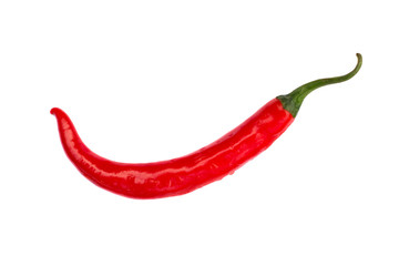Hot red chili or chilli pepper.
