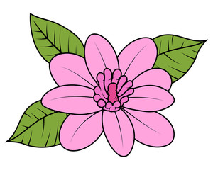 Pink Wild Daisy Vector Illustration