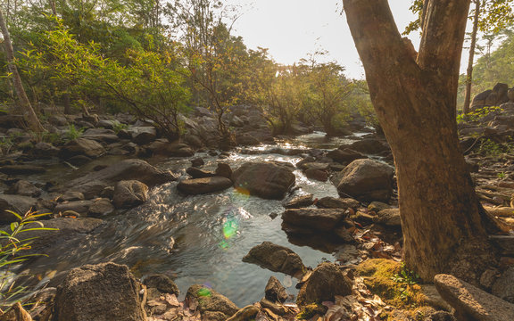 Fototapeta Deep rain forest waterfall in tropical zone
