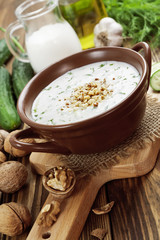 Tarator, bulgarian sour milk soup
