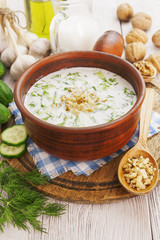 Tarator, bulgarian sour milk soup