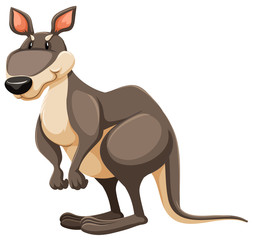 Kangaroo