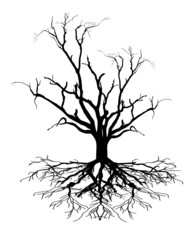 Dead Tree Shape - 81651497