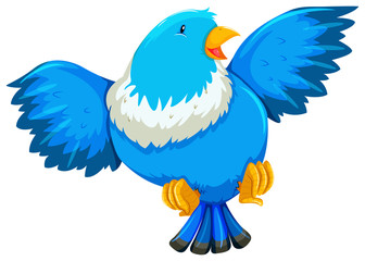 Blue bird