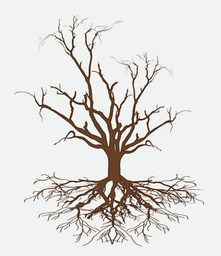Dead Tree Vector Illustration