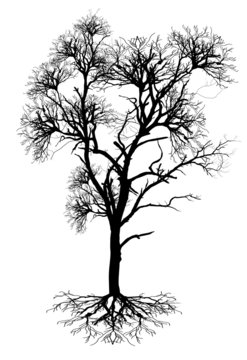 Dead Tree Shape Vector