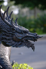 dragon on a background of tropical plants