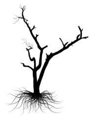 Black Dead Tree