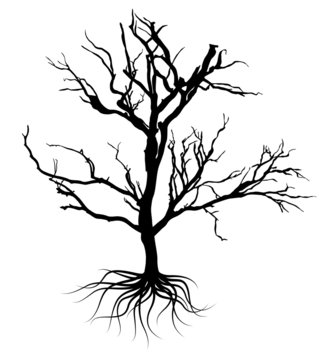 Black Dead Tree Design