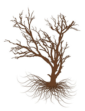 Drawing of Dead Tree