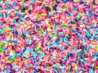 Fototapeta premium Płatki kwiatowe tło