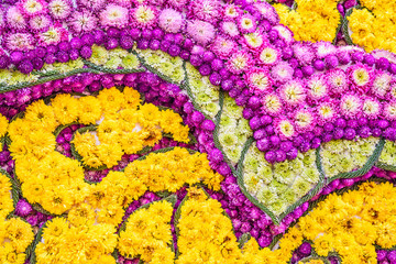 Fototapeta na wymiar colorful flower decorative.