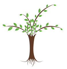 Green Tree with Leaves