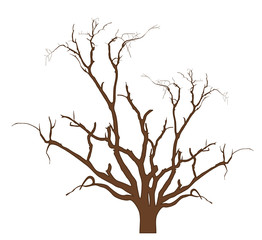 Dry Tree Design Vector Illustration