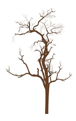 Dry Tree Vector Branches
