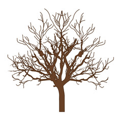 Dry Tree Vector Shape