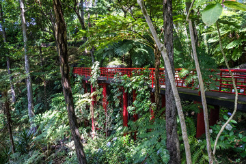 Botanical garden Monte, Madeira, Portugal