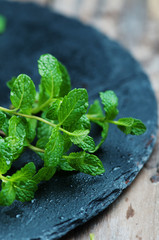 Fresh green mint