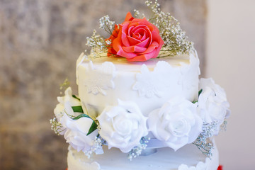 Beautiful wedding cake in different colors with two different le