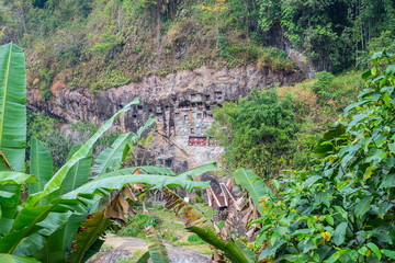 Obraz premium Traditional burial site in Tana Toraja